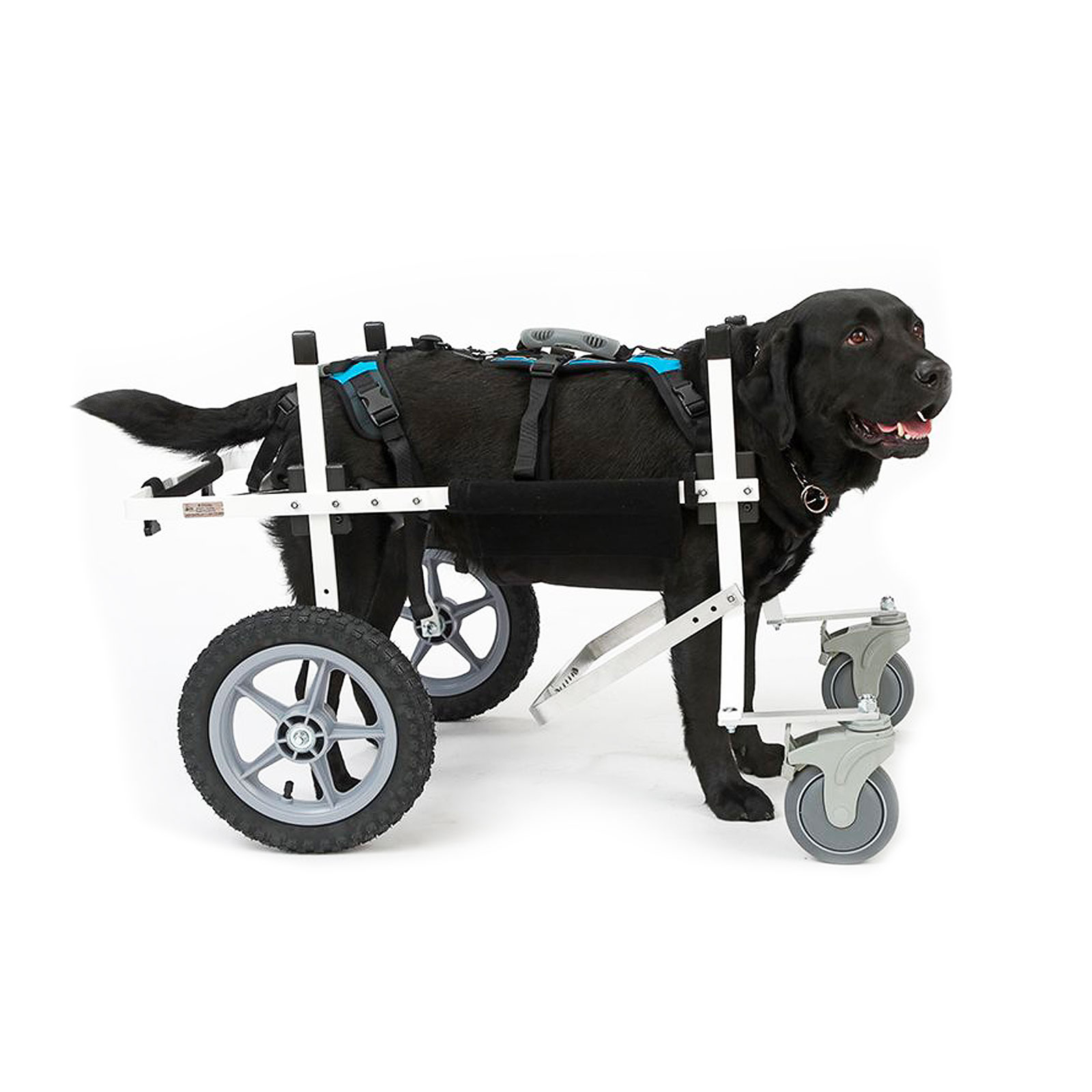 Fauteuil roulant Chien