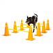 Kit d'obstacles Chien