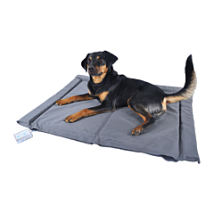 Bio-Pulse PEMF Tapis magnétique Chien Chat